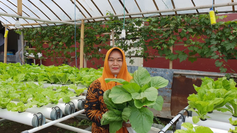 Kebun Hidroponik Kartini