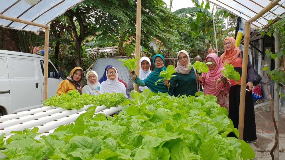 Kebun Hidroponik Kartini